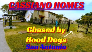 CHASED BY HOOD DOGS EXPLORING CASSIANO HOMES SAN ANTONIO 82022 [upl. by Lienhard]