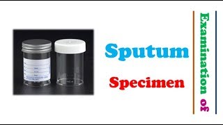 Microbiology 🔤  Examination of Sputum Specimen [upl. by Negam950]