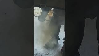 tiktok viral foryou farrier farrierlife farriersoftiktok horse hoof hoofcare satisfying [upl. by Ayalat]