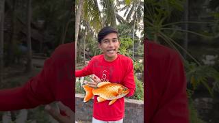 মাছ 🐟 চুরির VLOG 😂  minivlog banglavlog [upl. by Ekoorb815]