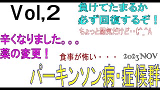 Vol2【勇気をもって告白】私はパーキンソン症候群 第二弾 食事が怖い どんな病気 治療の方向性 医療の実際 Parkinsons disease 目指せ回復 レボドパ iPS [upl. by Odlonra48]