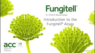 Fungitell® Training Video [upl. by Eirena211]