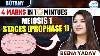 Stages of Prophase 1 of Meiosis 1  🎯4 Marks in ⏰ 10 Minutes  Class 11 botany  NEET 2025 [upl. by Euton81]