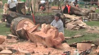 Barbara amp Alan record Chainsaw Wood Sculptures at Woodfest Wales [upl. by Juliana750]