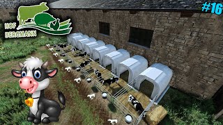 EINDELIJK KALFJES Farming Simulator 22 Hof Bergmann 16 [upl. by Nobie]