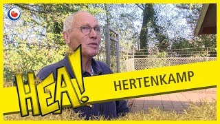 HEA Hertenkamp [upl. by Sabella]