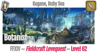 FFXIV Botanist Leves Level 62  Kugane Ruby Sea  Stormblood [upl. by Ja320]