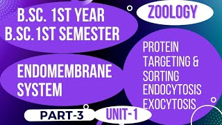 Endomembrane system  Protein targeting and sorting  Endocytosis and Exocytosis bsc 1st year unit 1 [upl. by Reg]