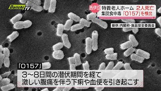 【Ｏ１５７】集団食中毒 特養老人ホームの３３人に症状うち２人が死亡…専門家は「他の食中毒よりも注意が必要」（静岡・西伊豆町） [upl. by Fay]