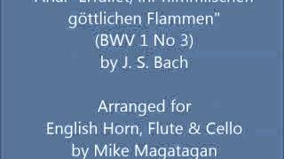 Aria quotErfüllet ihr himmlischen göttlichen Flammenquot BWV 1 No 3 for English Horn Flute amp Cello [upl. by Fagin]