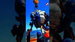 🐙 DEEP SEA MONSTER ⛵ caught by Fisherman fishingdiscoveries oceanexploration seacreatures shorts [upl. by Handel331]