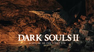 Dark Souls II  04 Grave of Saints🐀🐀🐀 [upl. by Haropizt]