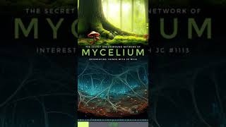 So Mycelium connects all the roots under the ground interestingthings science trees forest [upl. by Ermanno]