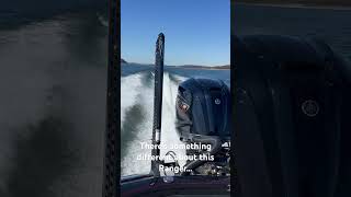 New Ranger Z520 with Yamaha 250 SHO bassboats rangerboats bassfishing yamahaoutboards [upl. by Rhetta21]