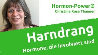 Harndrang Hormone die involviert sind [upl. by Cuthbertson]