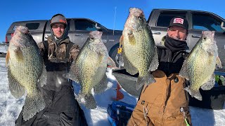 INSANE SCHOOL OF OVERGROWN CRAPPIES Limited Out [upl. by Cohligan54]