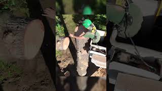 Removing An ENTIRE Fir Tree treeworker [upl. by Cameron]