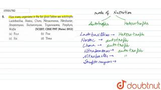 How many organism in the list given below are autotrophs Lactobacillus Nostoc Chara Nitrosomonas [upl. by Ynamad]