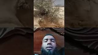 Dust storms in the desert motivation quranictranslation shorts youtubeshorts trinding [upl. by Rahman]