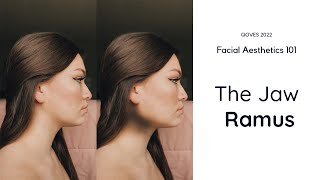 Why Your Jawline Never Looks Sharp  Facial Aesthetics 101  The Jaw Ramus [upl. by Lachman]