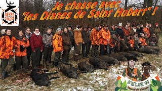 Deux saisons avec les quotDianes de Saint Hubertquot chasse en battue avec les chasseresses [upl. by Nigel]