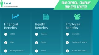 Dow Chemical Company Employee Benefits  Benefit Overview Summary [upl. by Ecyak]