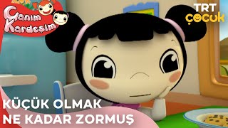 Canım Kardeşim  Küçük Olmak Ne Kadar Zormuş [upl. by Ottie]