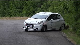 Rallye du Quercy 2017 HD Show amp Mistakes [upl. by Lleruj]