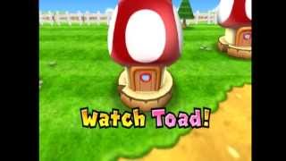 Mario Party 9 Minigame Toad and Go Seek [upl. by Ecyac]