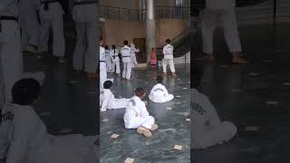 Poomsae 4reelsvideo shortvideo viralvideo popular poomsae [upl. by Hardner160]