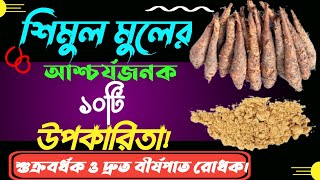 আশ্চর্য ভেষজ শিমুল মুলের উপকারিতা ও খাওয়ার নিয়ম।Shimul Mul Pawder Khawar Niyom।H M Salim Uddin [upl. by Price120]