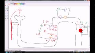 Laymans Terms Diuretics mechanism of actions [upl. by Aley884]