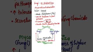 Mycorrhiza as BiofertilisersMycorrhizal associationMycorrhiza FungiRole of Mycorrhiza biology [upl. by Myrna467]