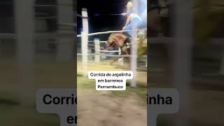 Corrida de argolinha em barreiros Pernambuco [upl. by Nancy]