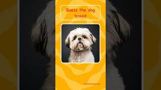 Can You Name These Dog Breeds  Part 2 [upl. by Assehc]