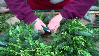 Wilsons Garden Center How To Make A Fresh Greens Wreath [upl. by Begga62]