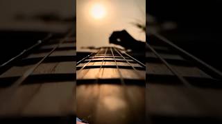 Salman Khan  Song Ringtone  guitar guitarcover music love instrumental [upl. by Aslin]