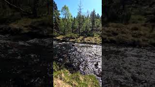 Laanioja Lappi Inari luonto nature [upl. by Hnad999]