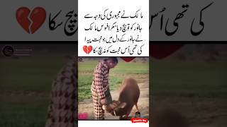 Mohabbat Na Bech Saka 🥺💔Animal Love Quotes  Aqwal e zareen  Heart touching  Judai status shorts [upl. by Claribel]