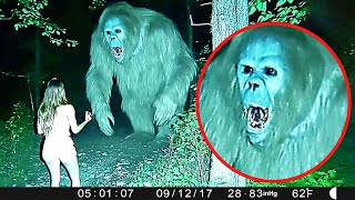 HeartPounding Trail Cam Footage Shocking Forest Rangers [upl. by Ranite]