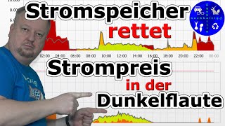 Mit dem Stromspeicher durch die Dunkelflaute – unsere Photovoltaik im November [upl. by Silvie]