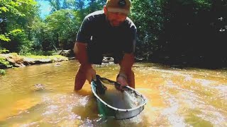 Exploro ríos y recolecto peces para pecera gigante pesca urbana y acuario urbano [upl. by Boorer]