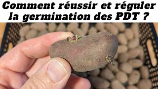 Réussir et réguler la germination des tubercules de pomme de terre avant la plantation au potager [upl. by Clywd]