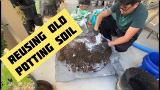 How We Reuse Old Potting Soil [upl. by Edric]