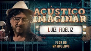 Luiz Fidelis  Flor do mamulengo [upl. by Zephaniah]