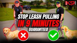 How to Stop Leash Pulling Now Pro Tips for Success [upl. by Atims]