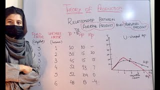 Relationship Between Total Product Average Product and Marginal Product  Microeconomics  26 [upl. by Nnaaras]