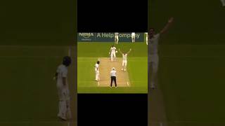 IND vs AUS live match today India Australia 2nd test live today Ind vs aus test match highlights [upl. by Ieppet]