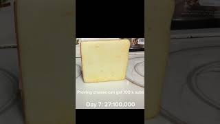 Proving cheese can get 100k subs day 7 27100000 [upl. by Eittod]