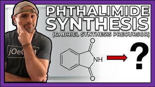 Precursor to the Gabriel Synthesis Making Phthalimide [upl. by Roxy]